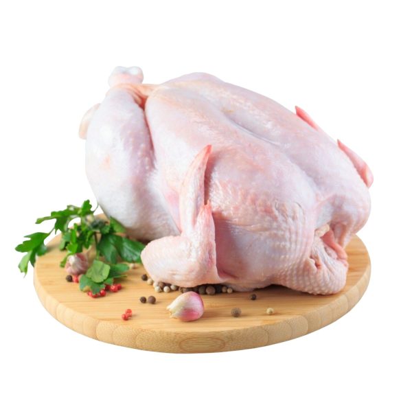 FRESH CHICKEN WHOLE1400-1700GM PRICE IS PER KG