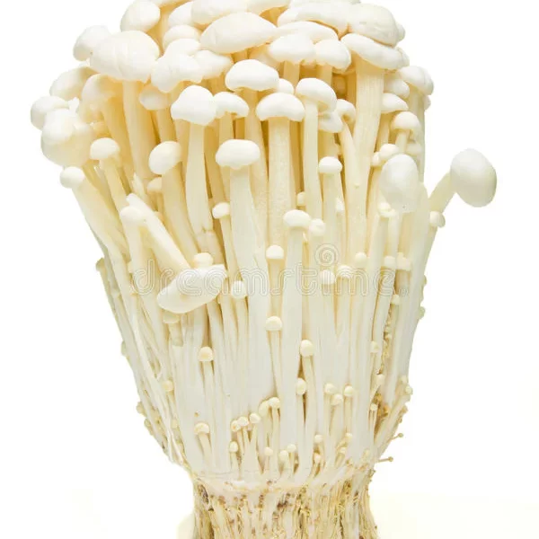ENOKI MUSHROOM 100GM