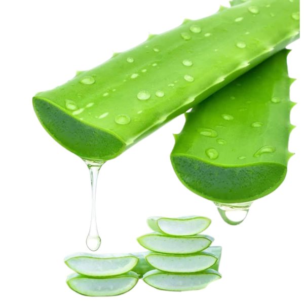 FRESH ALOE VERA PER KG