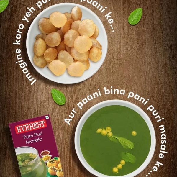 EVEREST PANI PURI MASALA 100GM