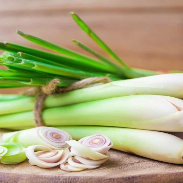 FRESH LEMON GRASS 100GM