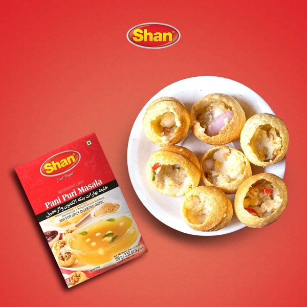 SHAN PANI PURI MASALA 100GM