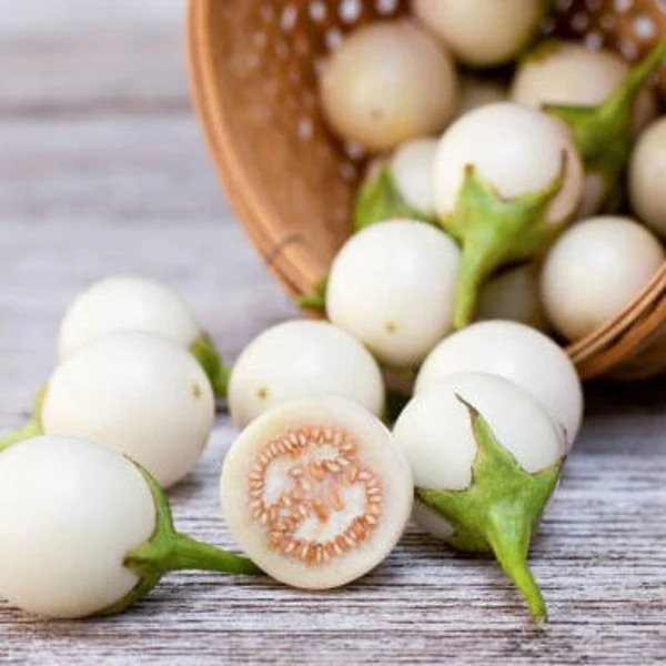 FRESH WHITE GARDEN EGG 250GM